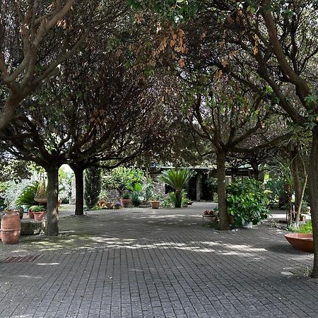 그로타페라타 Borgo De' Paolis 아파트 외부 사진